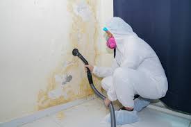 Forensic Mold Investigation in Garfield, TX